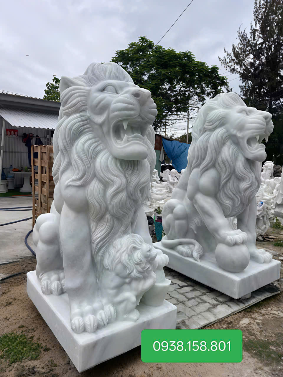 Mẫu sư tử đá trắng 